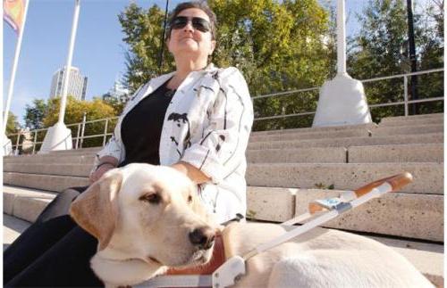 propriétaires de chiens maîtres chiens