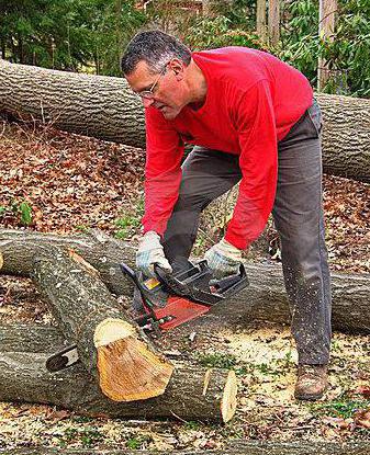 faire un chemin depuis un arbre