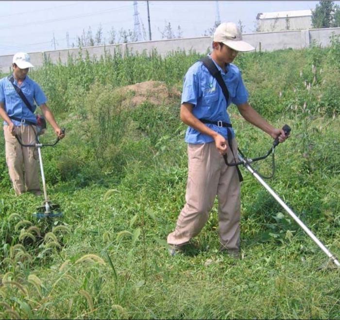 Comment tondre l'herbe sur le site? Benzocos 