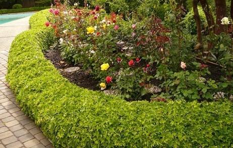 Comment choisir une bordure de jardin pour votre site?