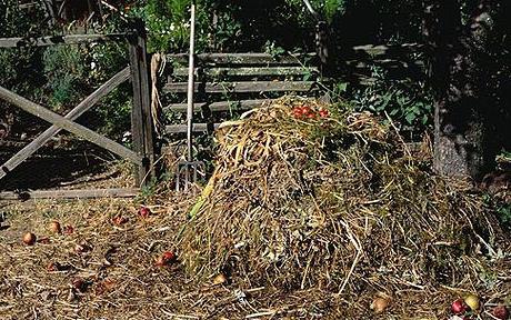 Le compostage par ses propres mains est un moyen facile d'économiser de l'argent