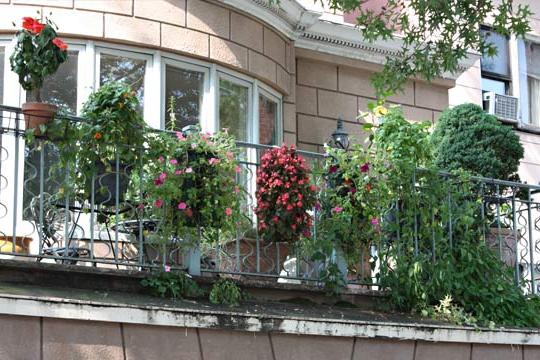 décoration de balcon