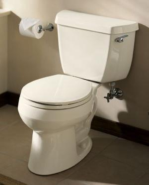 Cuvettes de toilettes à sortie verticale: différences et avantages