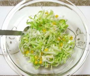 Cuisson de salade croustillante au chou frais et pomme