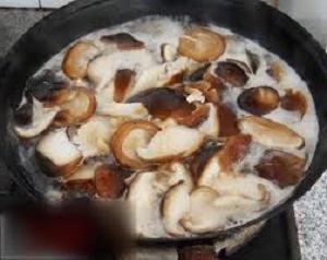 Comment faire cuire les champignons pleurotes, de sorte que les plats d'eux étaient délicieux