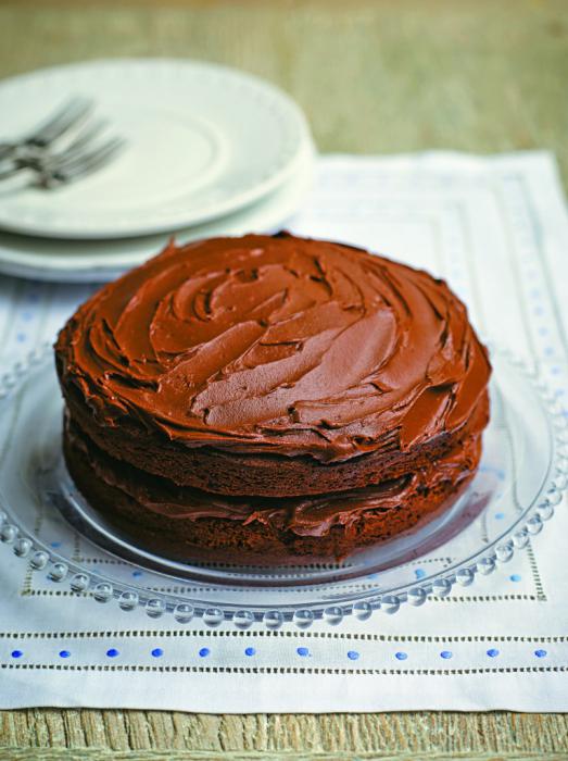 fudge au chocolat pour le gâteau