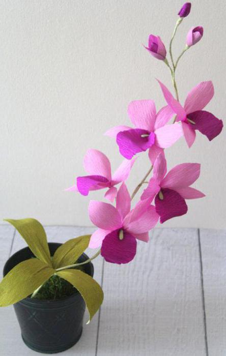 Fleurs avec ses propres mains: une orchidée en papier ondulé