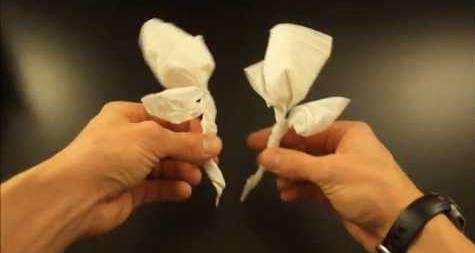 Comment faire une rose à partir d'une serviette par minute