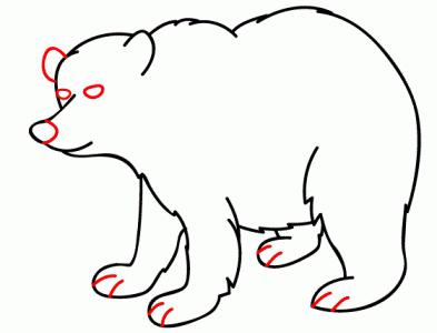 Comment dessiner un ours: instruction étape par étape