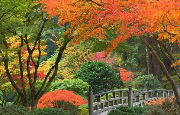 Paysage d'automne à travers les yeux des écrivains, des compositeurs et des poètes