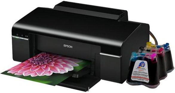 EPSON Stylus Photo P50: imprimante photo avec une excellente qualité d'impression