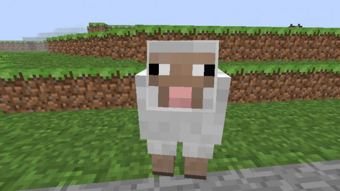 comme dans Minecraft apprivoiser un mouton