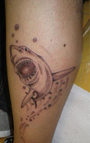 ce qui signifie un tatouage avec une image de requin