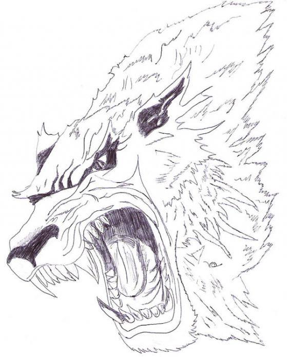Werewolf - un tatouage avec un sens