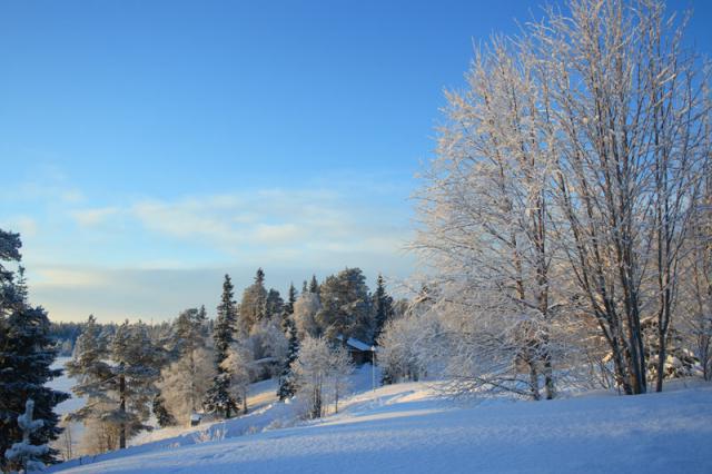 Réserve de la Laponie