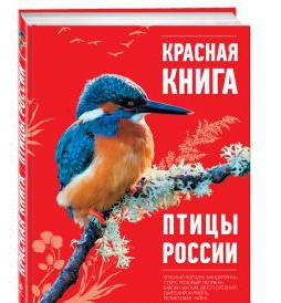 Oiseaux du Livre Rouge de Russie. Vol d'espoir