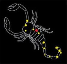 Constellations de l'hémisphère sud, mythologie et réalité