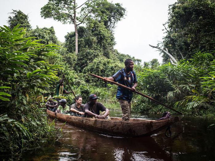 Zaïre River Ebola