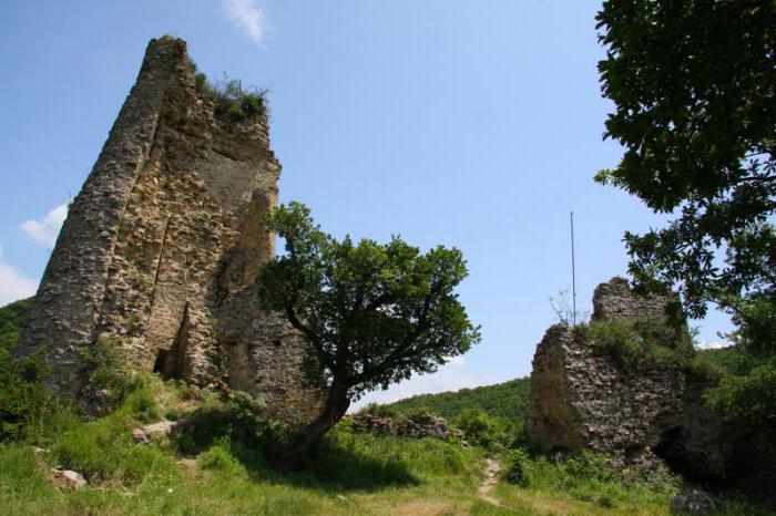 musée de Nino Pirosmani