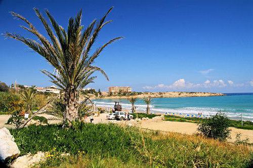 Est-ce que ça vaut la peine d'aller à Chypre en janvier?