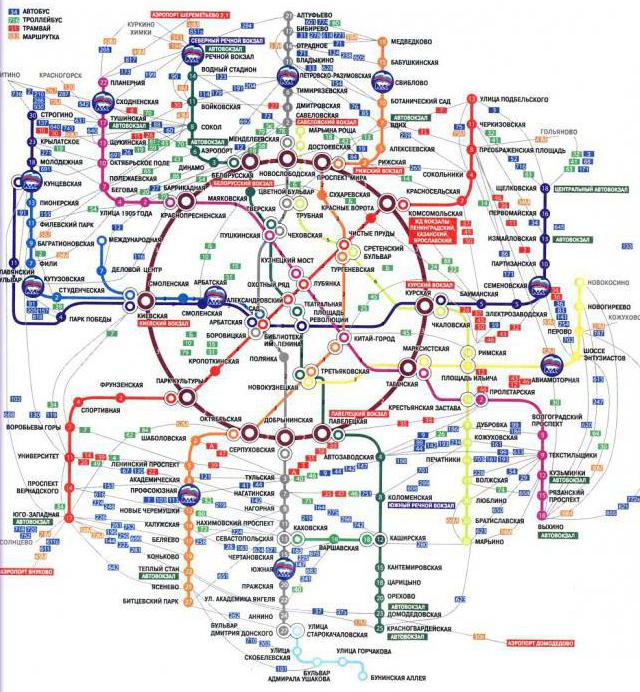 Transport terrestre de Moscou: les types où vous pouvez obtenir, comment économiser