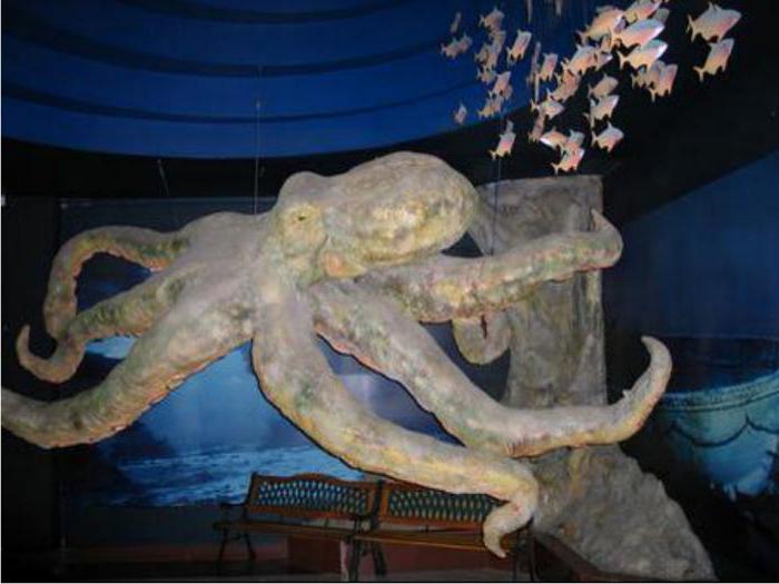 Adresse de l'Oceanarium (Astana)