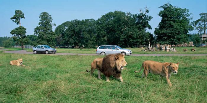  parc safari en Crimée