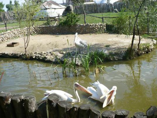 parc île ensoleillée de Krasnodar 