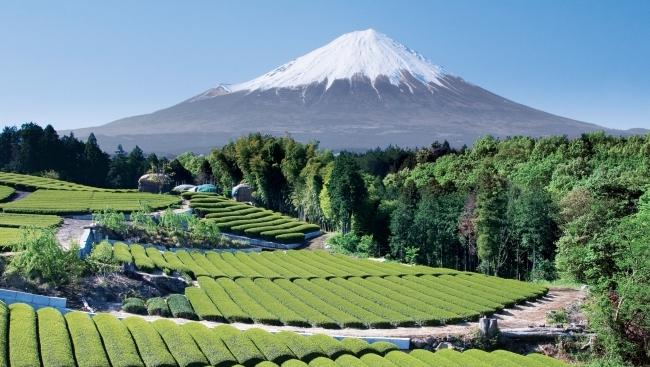 La région du Japon dans un contexte géographique