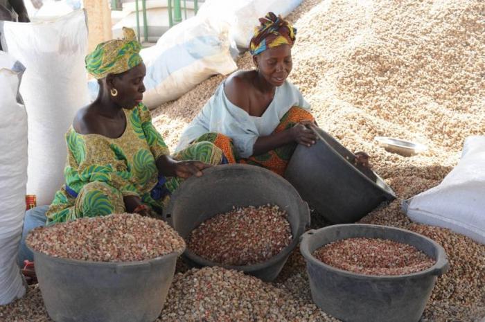 Pourquoi le Sénégal est appelé une république de cacahuète: un peu d'histoire et d'économie