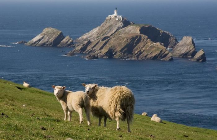 Îles Shetland