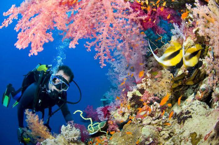 Température de l'eau en Egypte en novembre