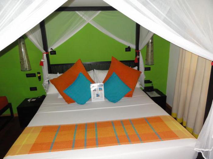 Vilamendhoo Island Resort & Spa 4 * (Maldives): description des chambres, divertissement, service, avis