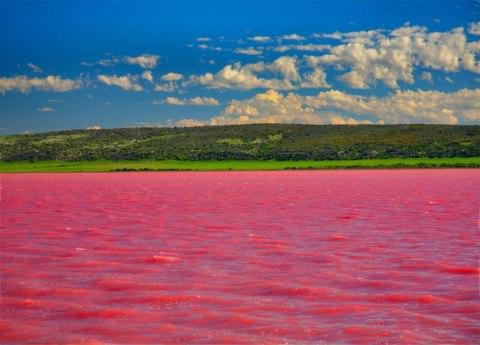 Lieux mystérieux de la planète - Pink Lake Hiller