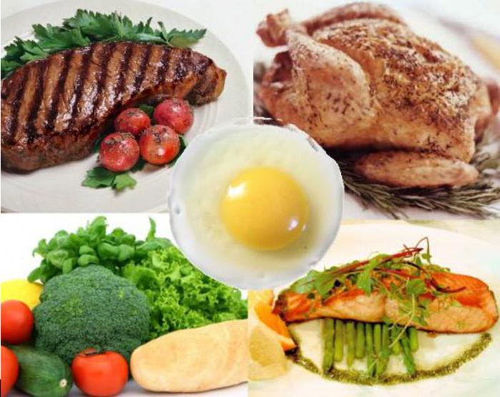 Diète riche en protéines pour les examens de perte de poids