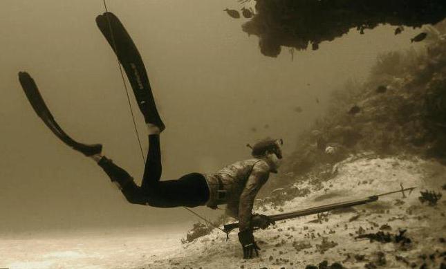 palmes de carbone pour la chasse sous-marine