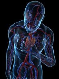 Hypoxie du myocarde