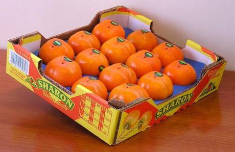 Persimmon Sharon: propriétés utiles et contre-indications