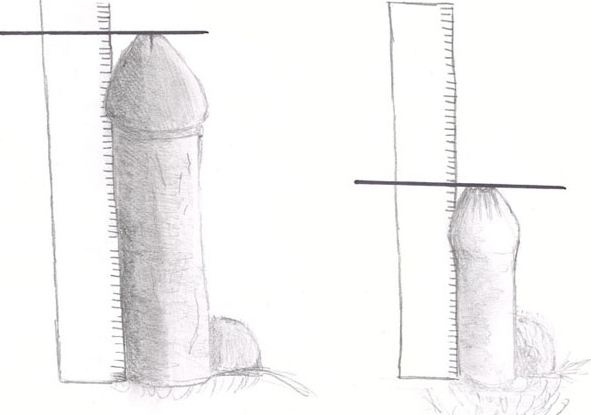 Comment mesurer un membre correctement?