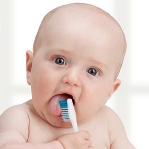 Dentition chez les bébés. Le schéma